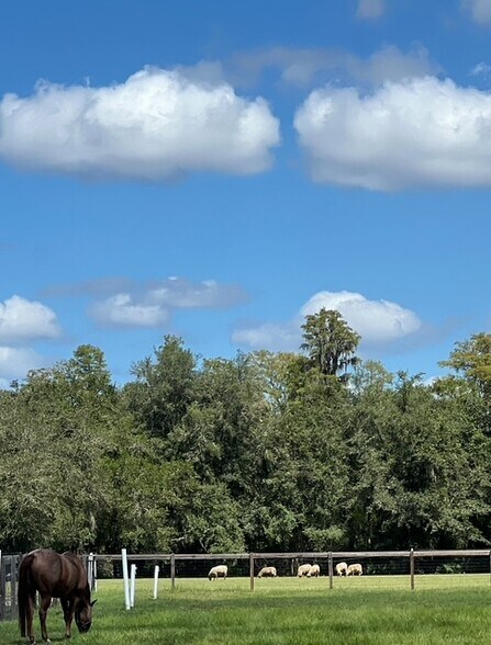 More Photos Of 7705 Gardner Rd, Tampa Specialty For Sale