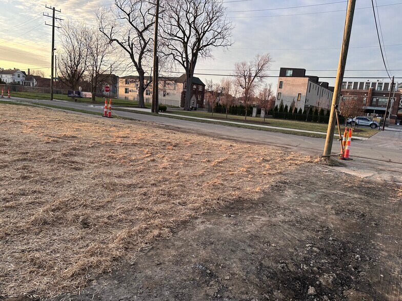 More Photos Of 1116 Townsend Street, Detroit Land For Sale