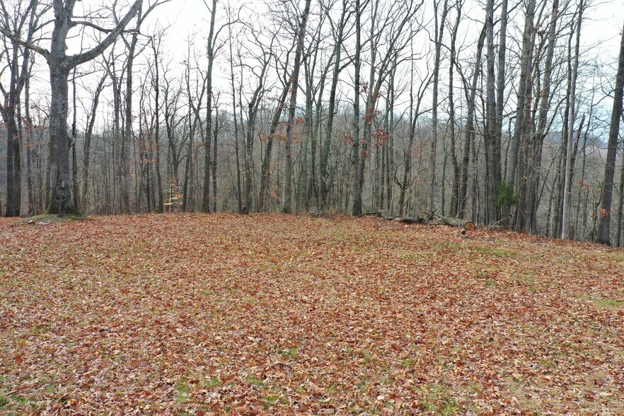 More Photos Of 155 White Fox Trl, Harpers Ferry Land For Sale