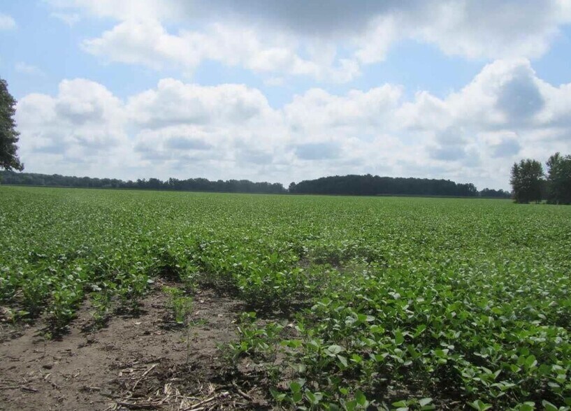 More Photos Of Capac Rd, Armada Land For Sale