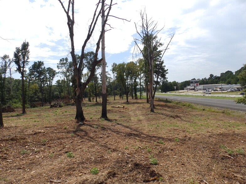 More Photos Of 16393 Highway 31, Tyler Land For Sale