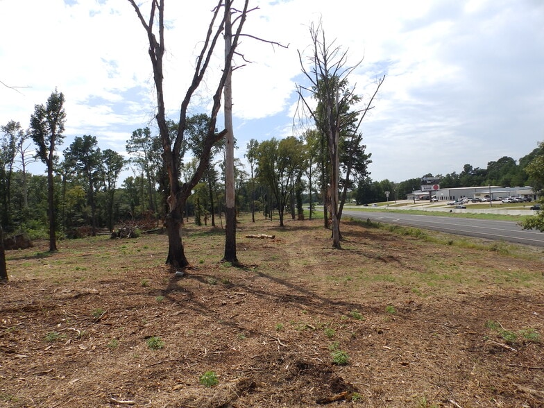 More Photos Of 16393 Highway 31, Tyler Land For Sale