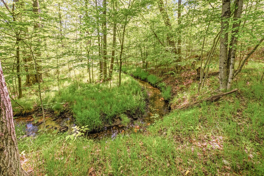 More Photos Of V/L 220th Ave, Big Rapids Land For Sale
