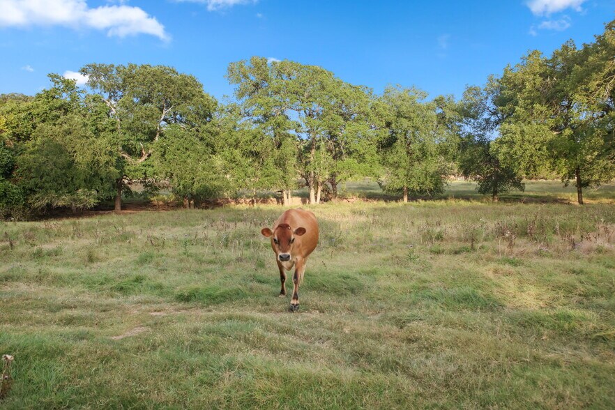 More Photos Of 319 Los Indios Ranch Rd, Boerne Specialty For Sale