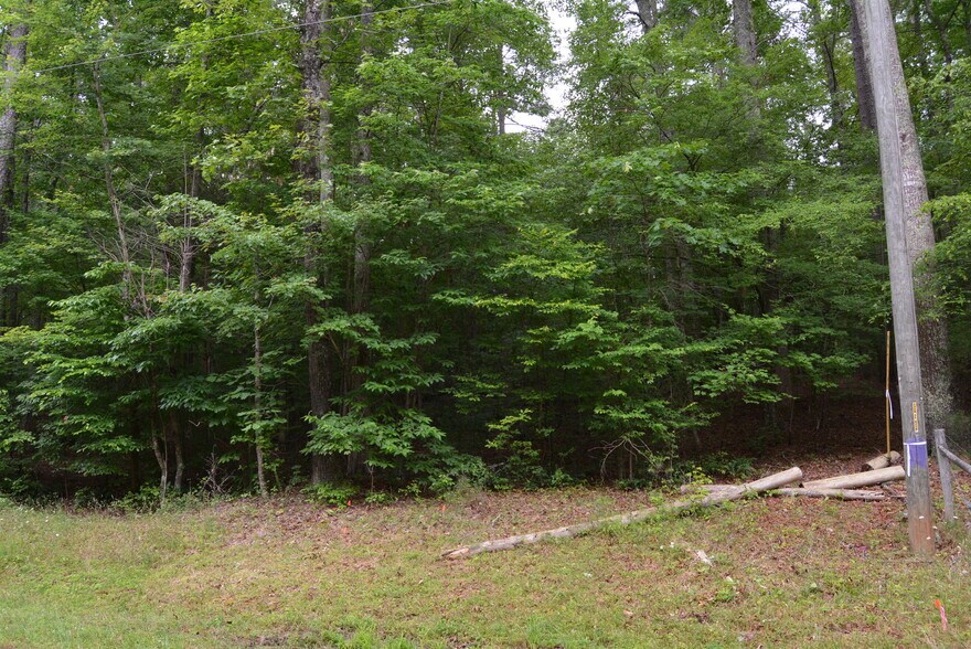 More Photos Of 0 Tom Wright Rd, Franklinton Land For Sale