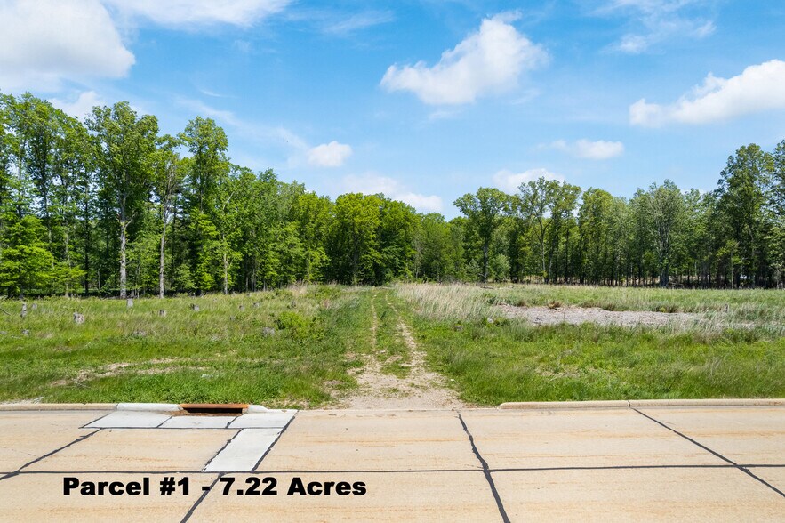 More Photos Of Viking Pky, Westlake Land For Sale