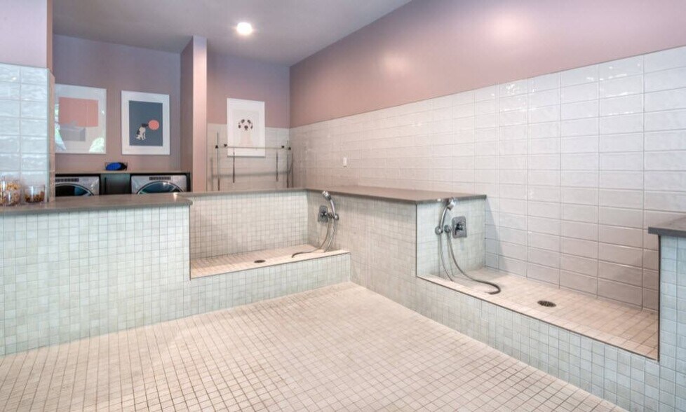 More Photos Of 411 W Commerce St, Dallas Apartments For Lease