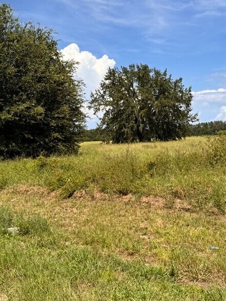 More Photos Of Haywood Worm Farm Road, Leesburg Land For Sale
