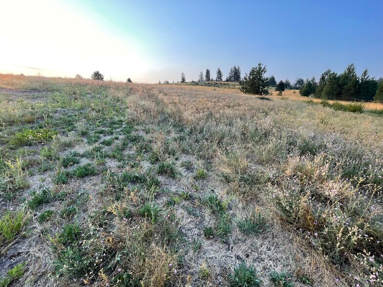 More Photos Of TBD S. Hwy 95 hwy, Worley Land For Sale