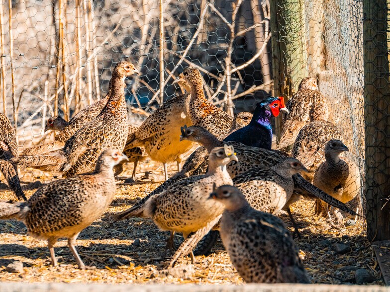 More Photos Of 81 B E Dry Coulee Road, Okanogan, WA 98840, Okanogan Land For Sale