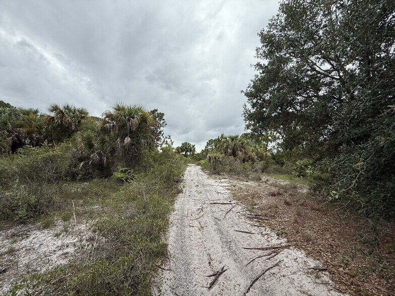 More Photos Of Eisenhower Blvd, Lehigh Acres Land For Sale