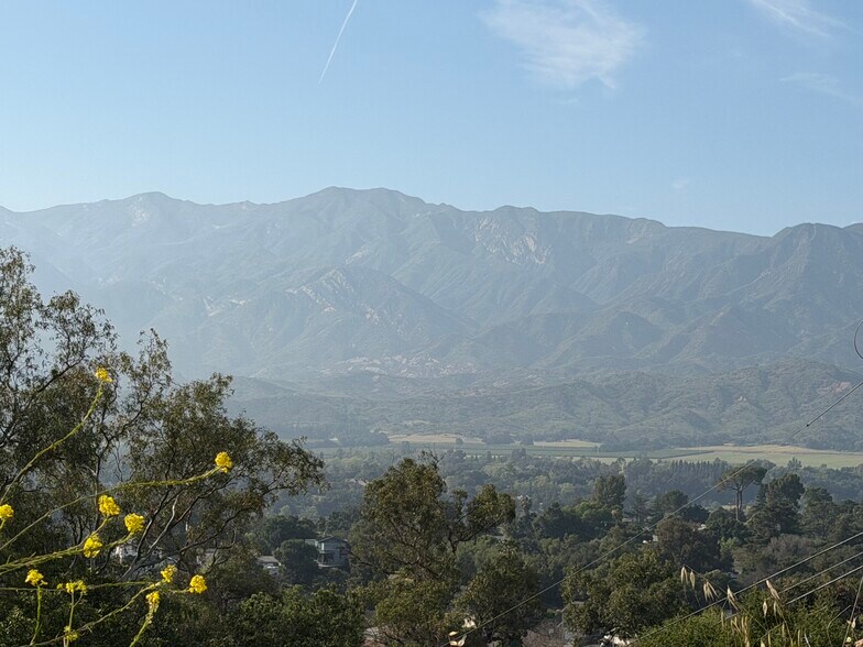 More Photos Of 265 Encino, Oak View Land For Sale