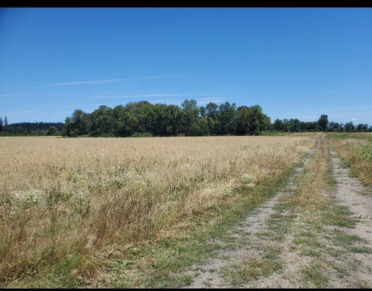 More Photos Of Wipper Rd, Salem Land For Sale