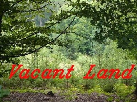 More Photos Of 11050 S Roberts Rd, Palos Hills Land For Sale