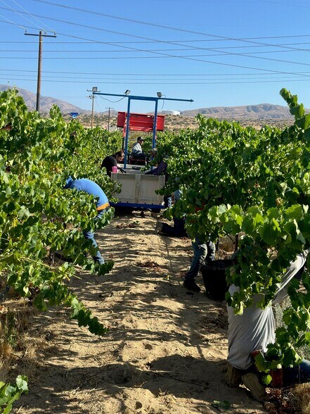 More Photos Of Fort Tejon Rd, Littlerock Land For Sale