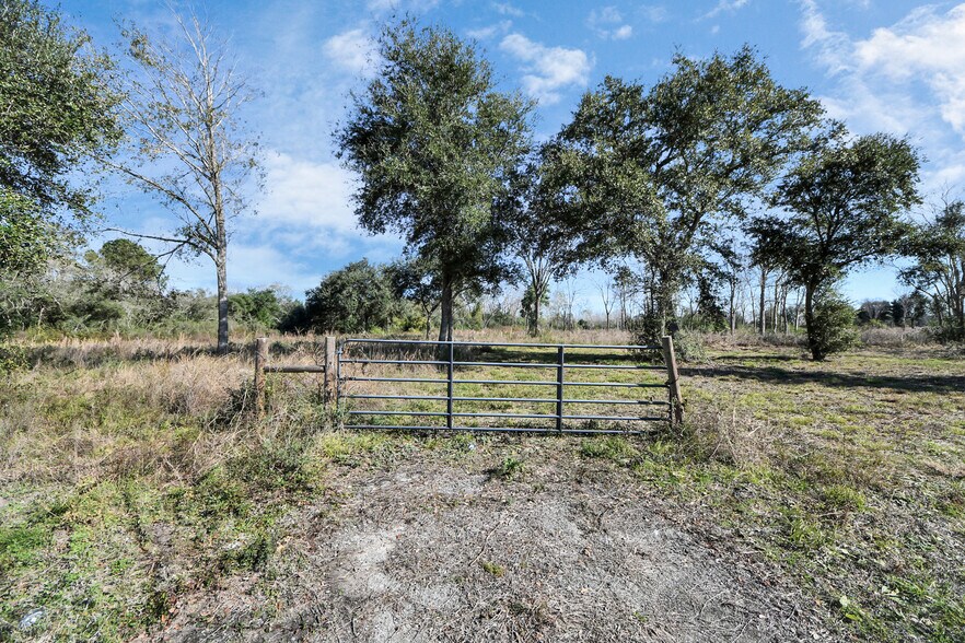 More Photos Of 10 FM 2403, Alvin Land For Sale