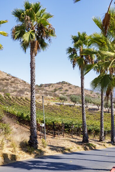 More Photos Of 2286 Sunshine Mountain Rd, San Marcos Winery Vineyard For Sale