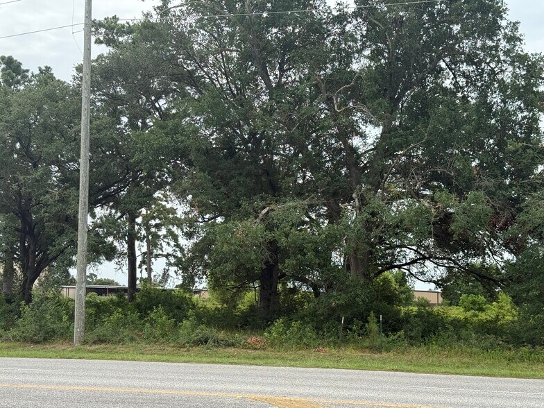 More Photos Of Spring Cypress Rd @ Falvel Rd, Spring Land For Sale