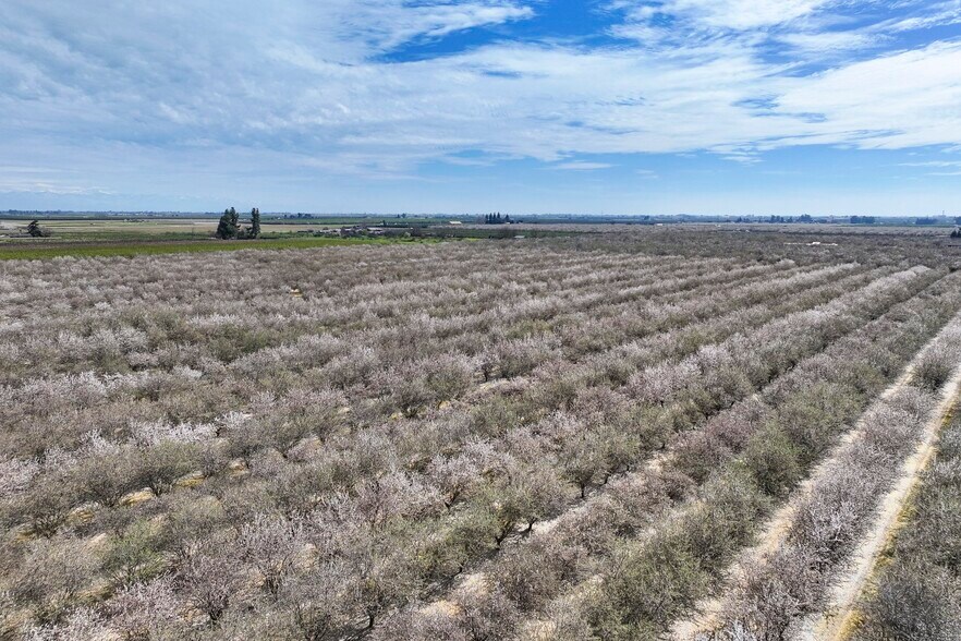 More Photos Of 7581 E Kings Canyon Rd, Fresno Land For Sale