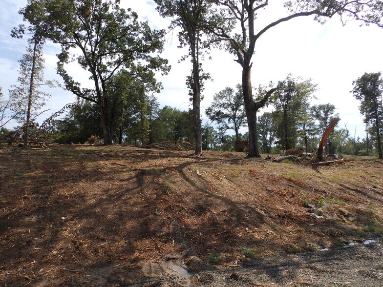 More Photos Of 16393 Highway 31, Tyler Land For Sale