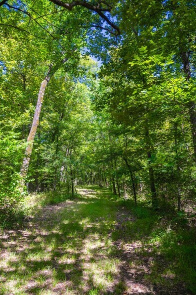 More Photos Of FM 1536 @ CR 3573, Dike Land For Sale