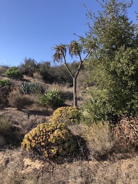 More Photos Of De Luz Road & Supale Ranch Rd @ De Luz Road, Fallbrook Land For Sale