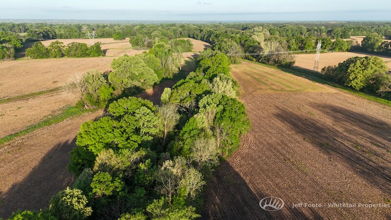 More Photos Of TBD Virlilia Rd, Canton Land For Sale
