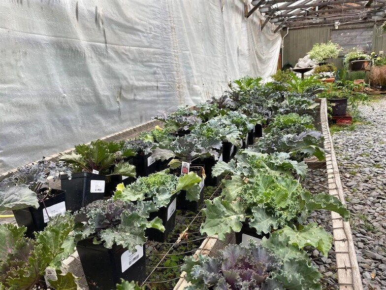 More Photos Of 535 US Route 302, Berlin Storefront For Sale