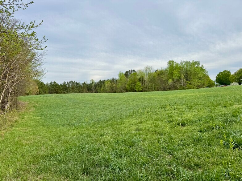 More Photos Of 12301 NC-86, Prospect Hill Land For Sale