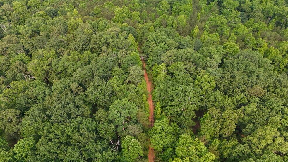 More Photos Of 0 Theodore Cox Cir, Canton Land For Sale