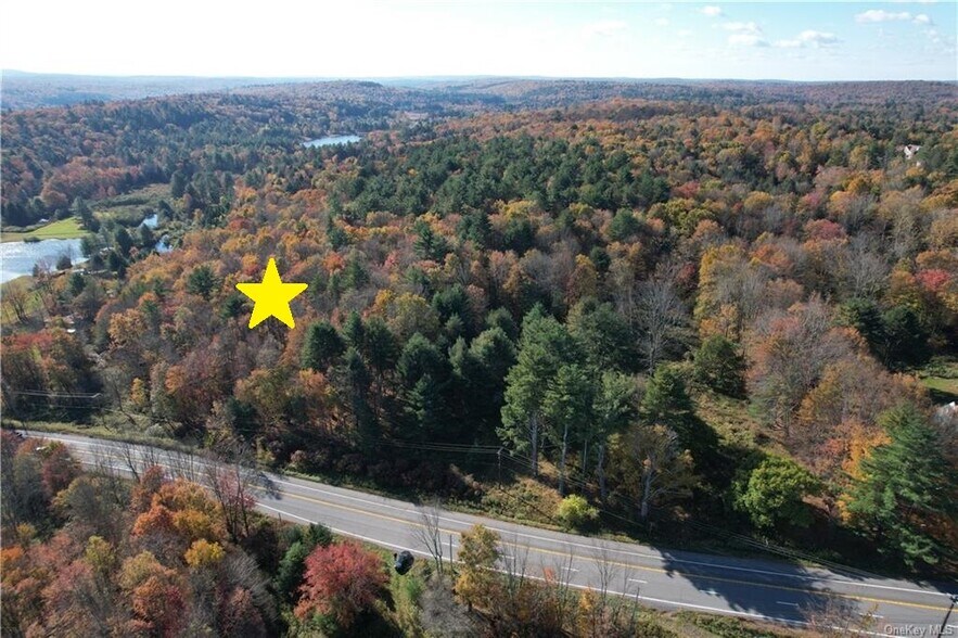 More Photos Of 1195 State Route 17B, Bethel Land For Sale