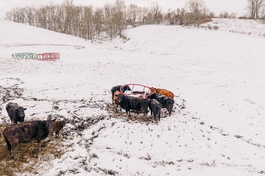 More Photos Of 68895 Lloydsville Bannock Rd, Belmont Land For Sale