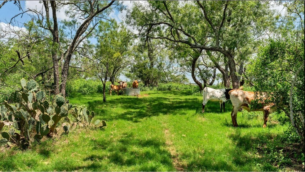 More Photos Of 209 FM 1344, Floresville Land For Sale