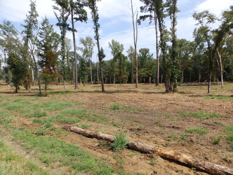 More Photos Of 16393 Highway 31, Tyler Land For Sale