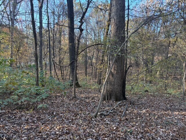 More Photos Of HWY 301, Horn Lake Land For Sale