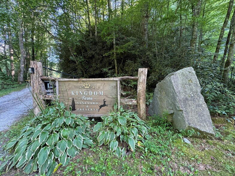 More Photos Of 781 Payne dr, Zirconia Land For Sale