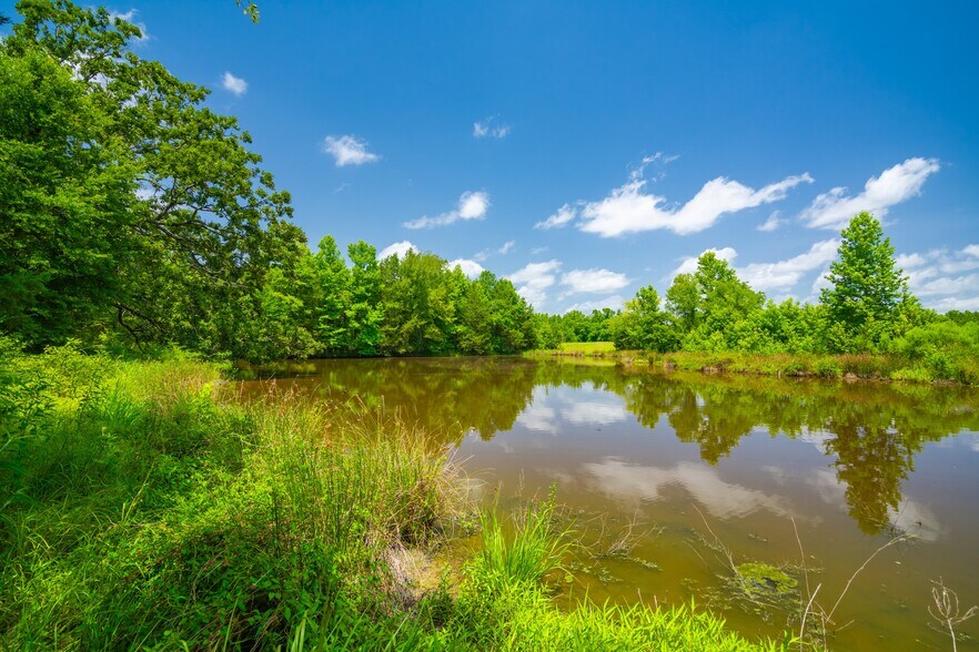 More Photos Of County Road 3311, Omaha Land For Sale