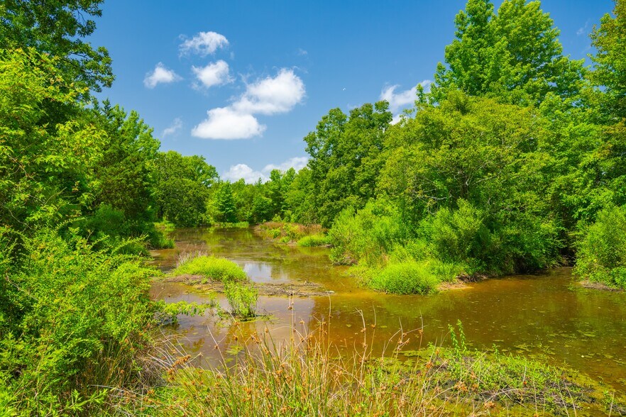 More Photos Of County Road 3311, Omaha Land For Sale
