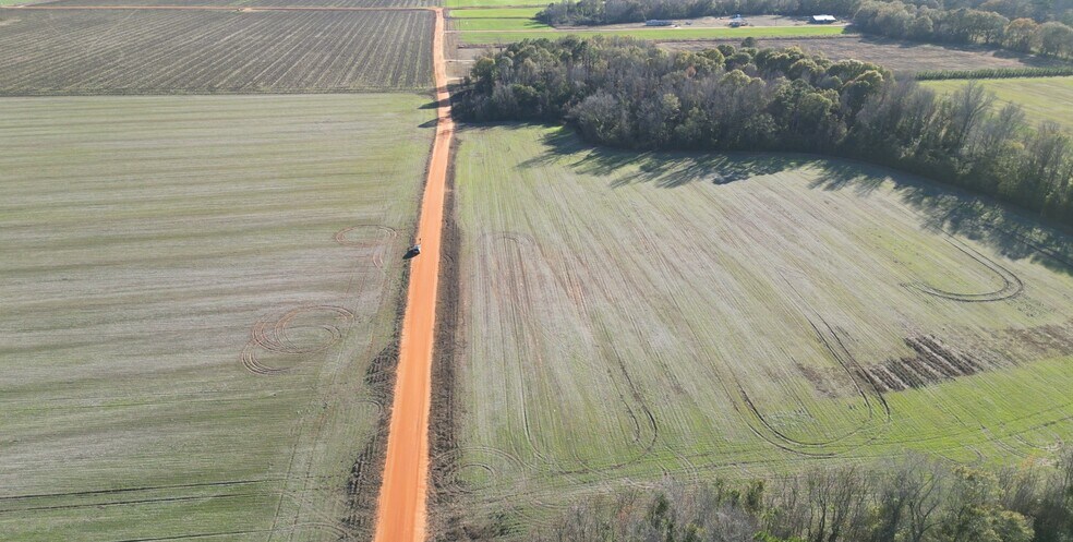 More Photos Of 0 Wiggins Road, Frisco City Land For Sale