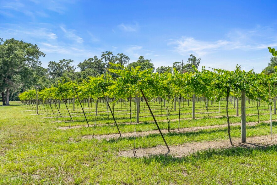 More Photos Of 1056 Reynolds Rd, De Leon Springs Specialty For Sale