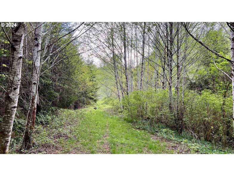 More Photos Of 18-10-00-00-01300500, Mapleton Land For Sale