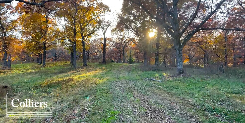 More Photos Of Bredehoeft Rd, Decatur Land For Sale