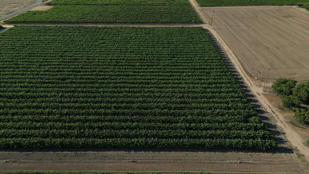 Primary Photo Of 17490 N Bruella Rd, Lodi Land For Sale