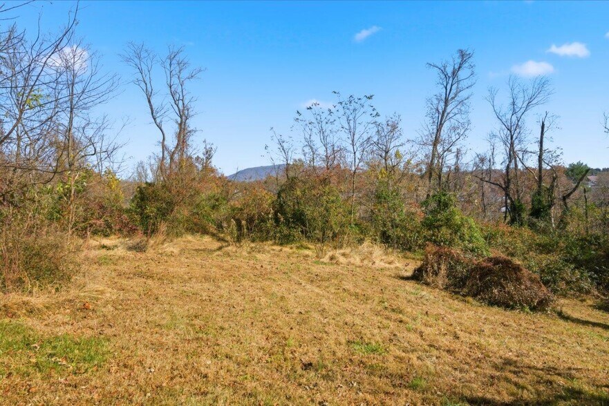 More Photos Of 204 Douglas Ln, Pearisburg Hospitality For Sale