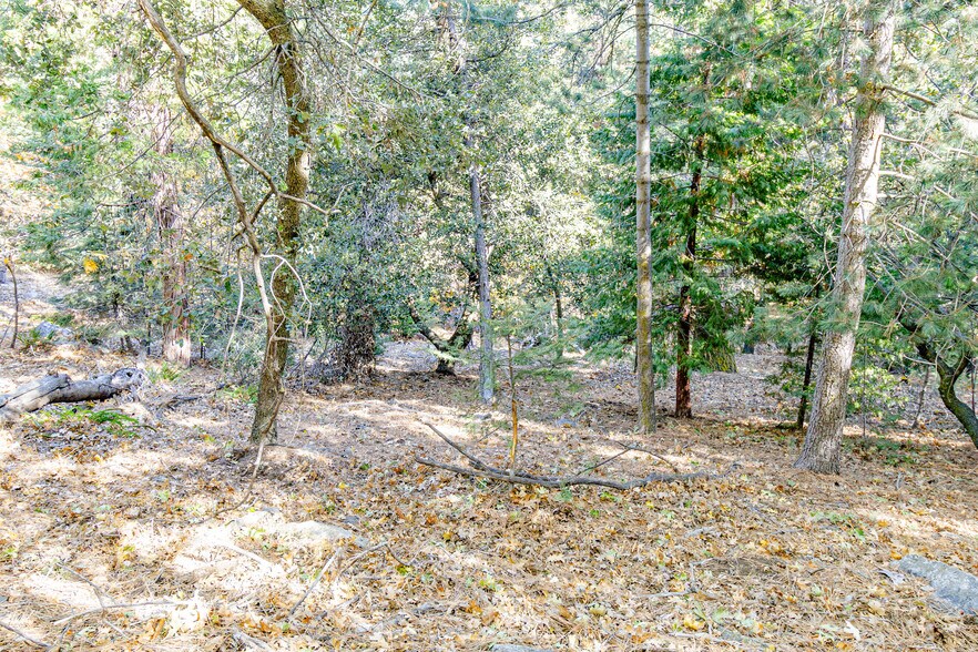 More Photos Of 0 Alder Creek Rd, Cedarpines Park Land For Sale