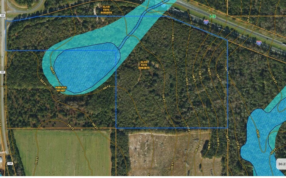 More Photos Of TBD CR 137 & I-10, Wellborn Land For Sale