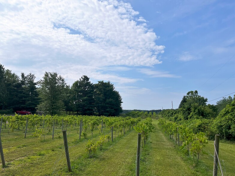 Primary Photo Of 1261 E Munger Rd, Tecumseh Winery Vineyard For Sale