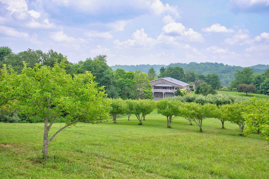 More Photos Of 1661 Turner Spur Rd, Fancy Gap Healthcare For Sale