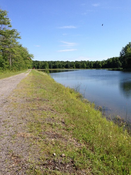 More Photos Of 4075 King Graves Rd, Fowler Land For Sale