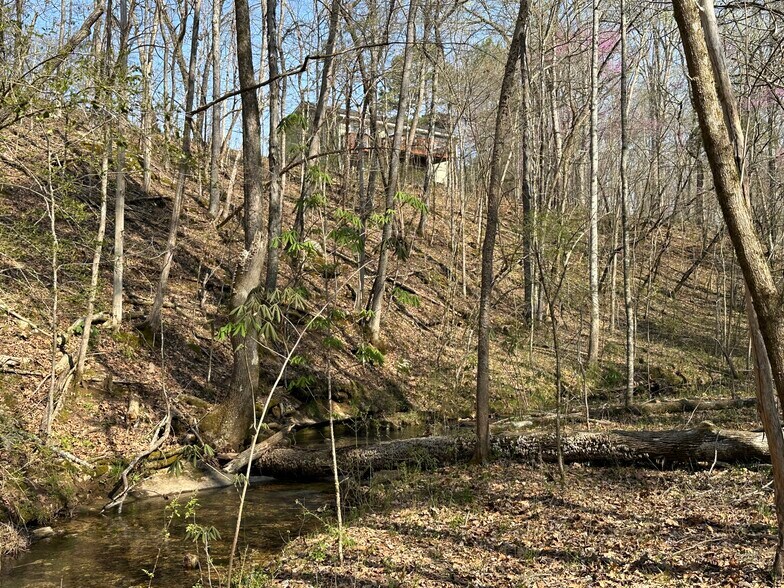 More Photos Of 7312 Highway 60, Georgetown Land For Sale